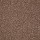 DesignTek Carpet: Dalton 30 15' Candied Truffle